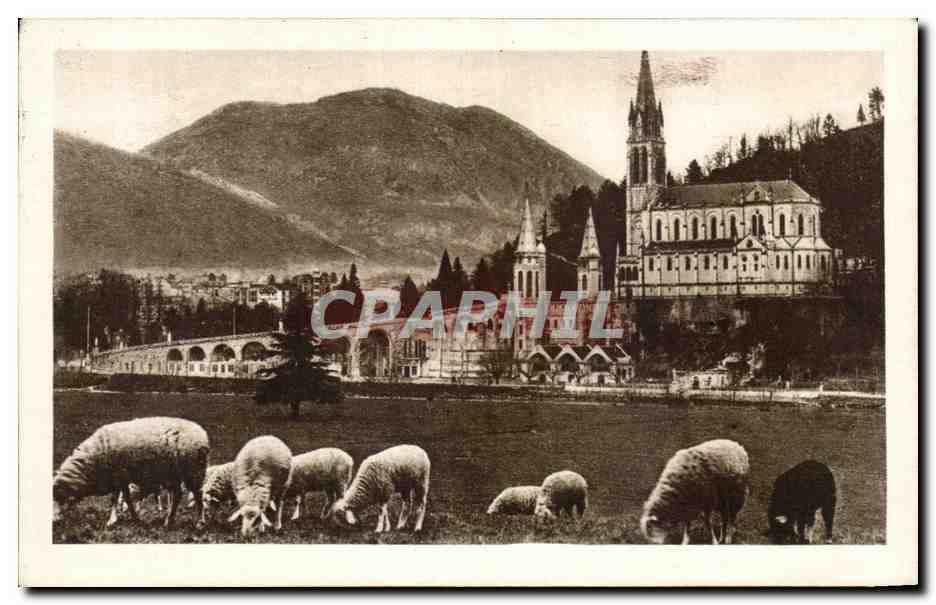 CPA Lourdes la basilique et le pic du jen