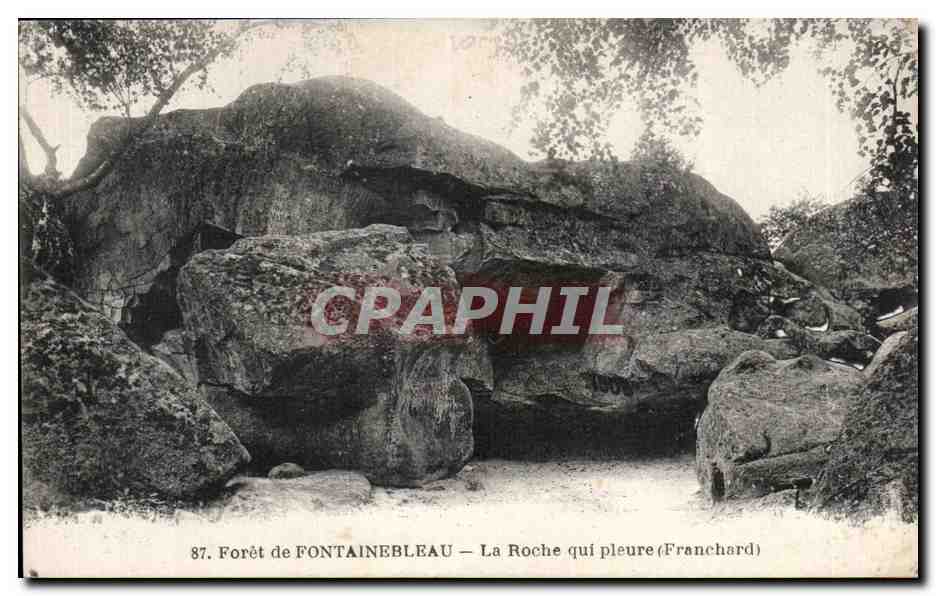 Bosque de FONTAINEBLEAU — La Roche que llora (Franchard) — CPAPHIL