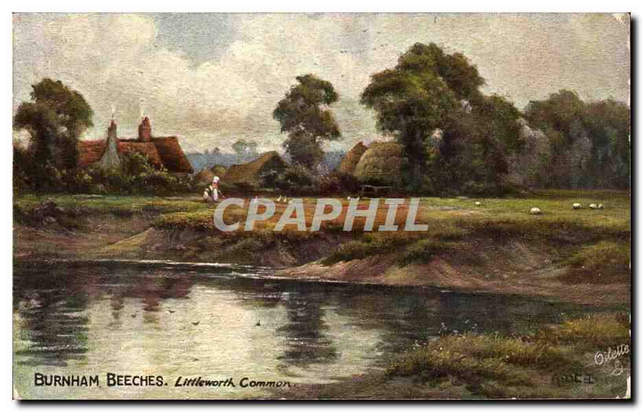 CPA Fantaisie Burnham Beeches Littleworth common 