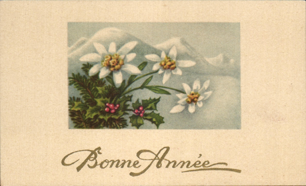 CPA Fantaisie Bonne annee