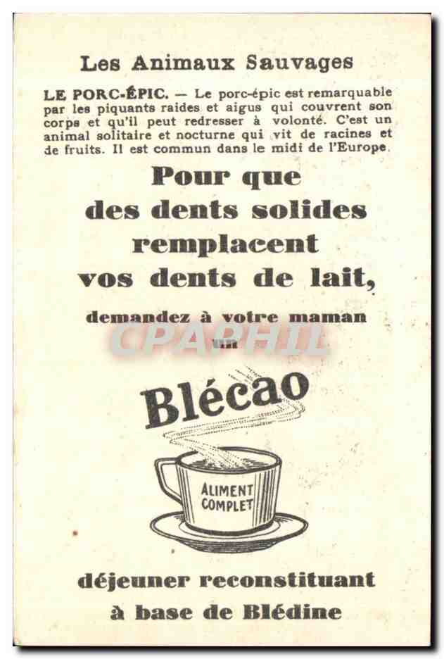 Chromo Les Animaux Sauvages Le Porc Epic Bledine  — Verso