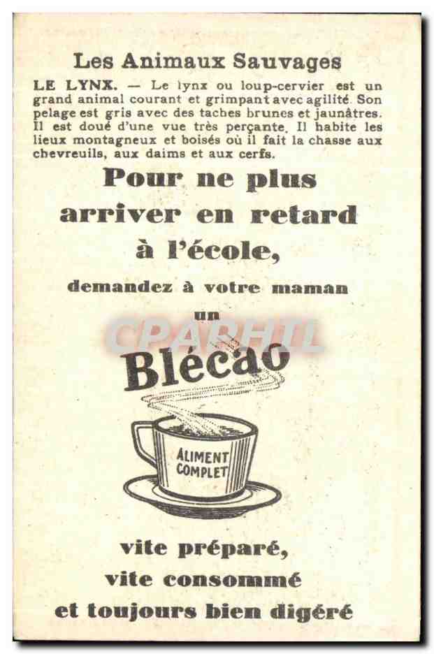 Chromo Les Animaux Sauvages Le Lynx Bledine — Verso