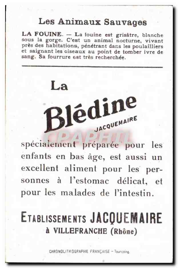 Chromo Les Animaux Sauvages La fouine Bledine — Verso