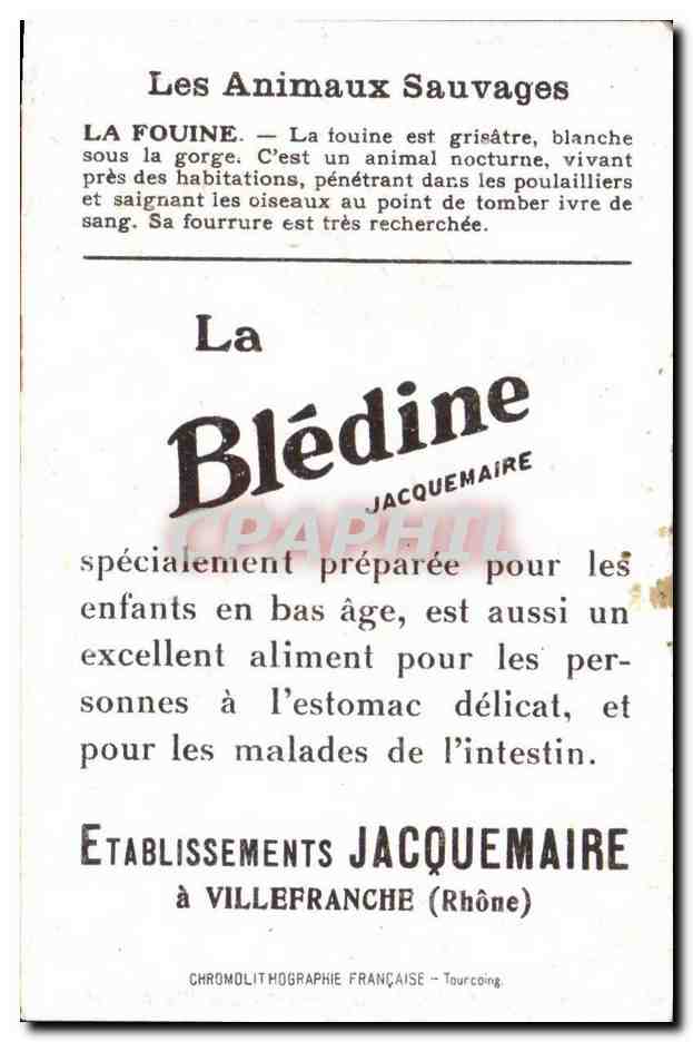 Chromo Les Animaux Sauvages La Fouine Bledine — Verso