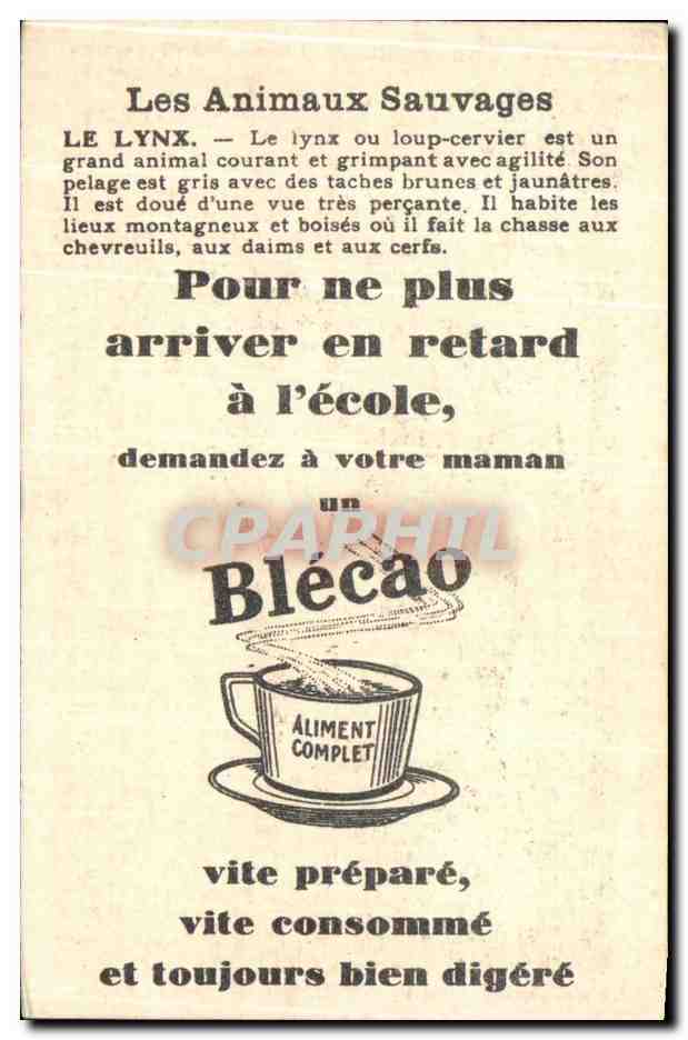 Chromo Les Animaux Sauvages Le Lynx Bledine — Verso