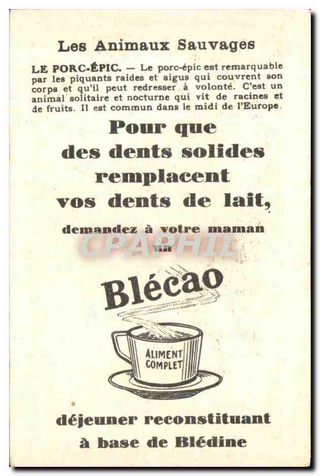Chromo Les Animaux Sauvages Le Porc Epic Bledine — Verso
