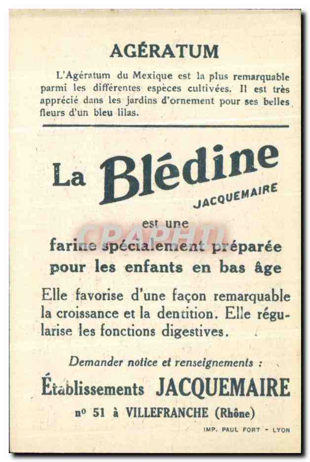 Chromo Bledine Ageratum — Verso
