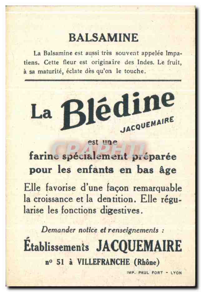 Chromo La bledine Balsamine — Verso