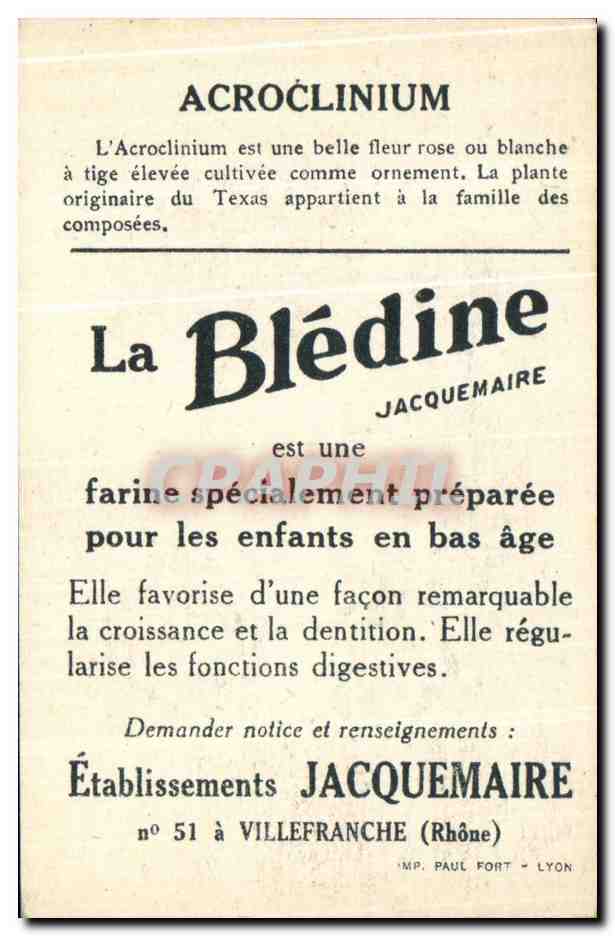 Chromo La bledine Acroclinium — Verso