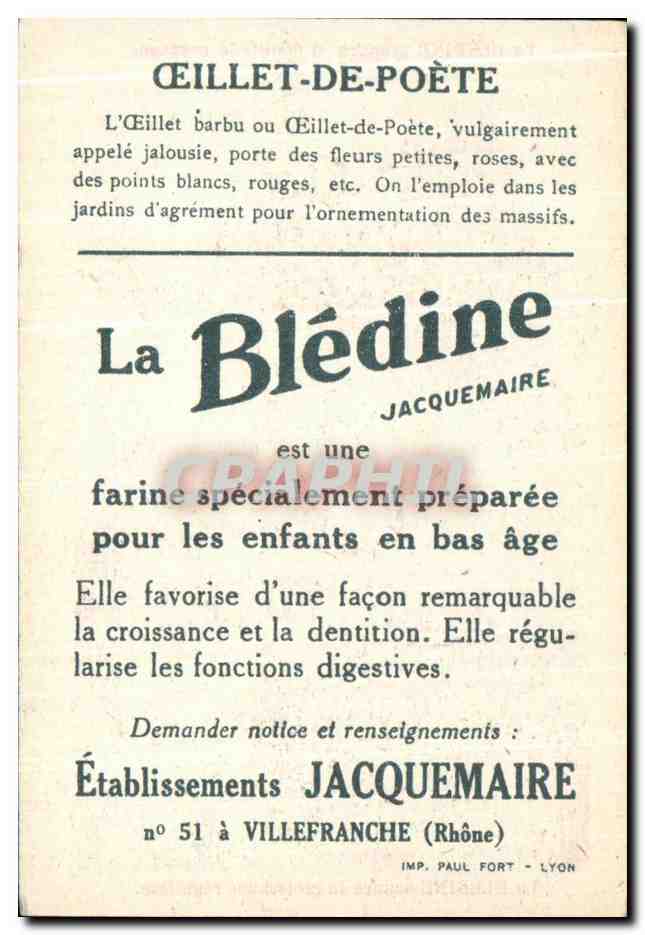 Chromo La bledine Oeillets de poete  — Verso