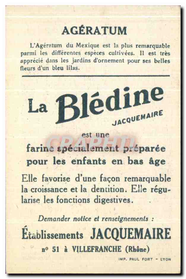 Chromo La bledine Ageratum — Verso
