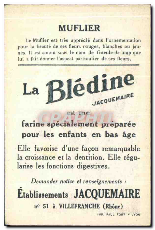 Chromo La bledine Muflier — Verso
