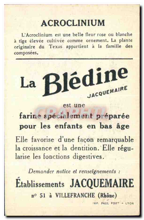 Chromo La bledine Acroclinium — Verso