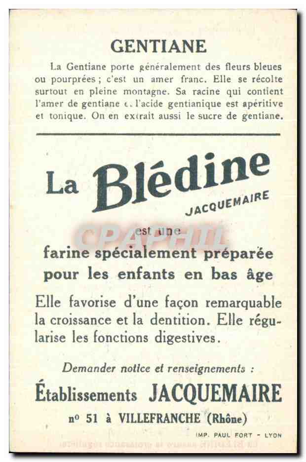 Chromo La bledine Gentiane — Verso