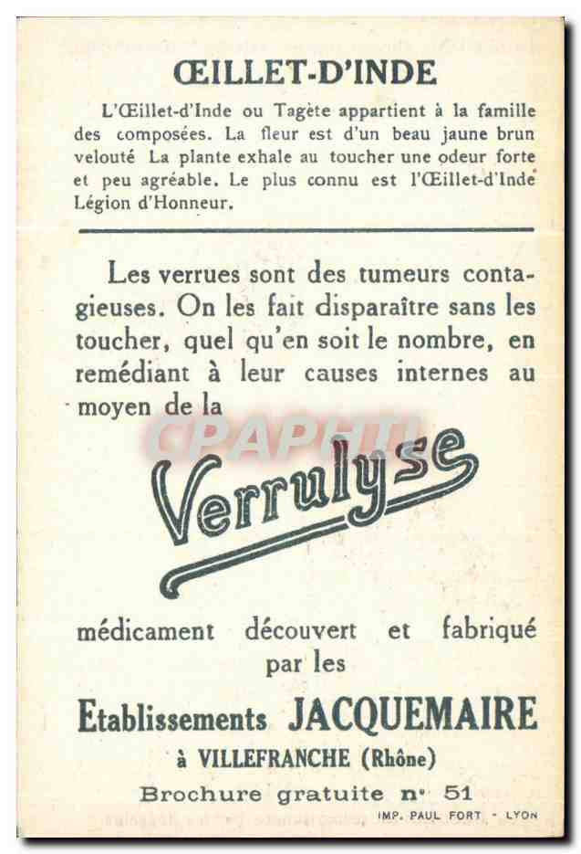ŒILLET D'INDE — Plante médicinale — Etablissements Jacquemaire — Verso