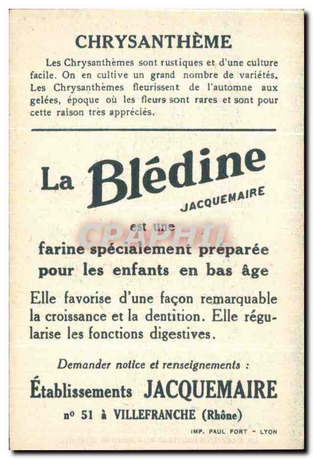 Chromo La bledine Chrysanthemes — Verso