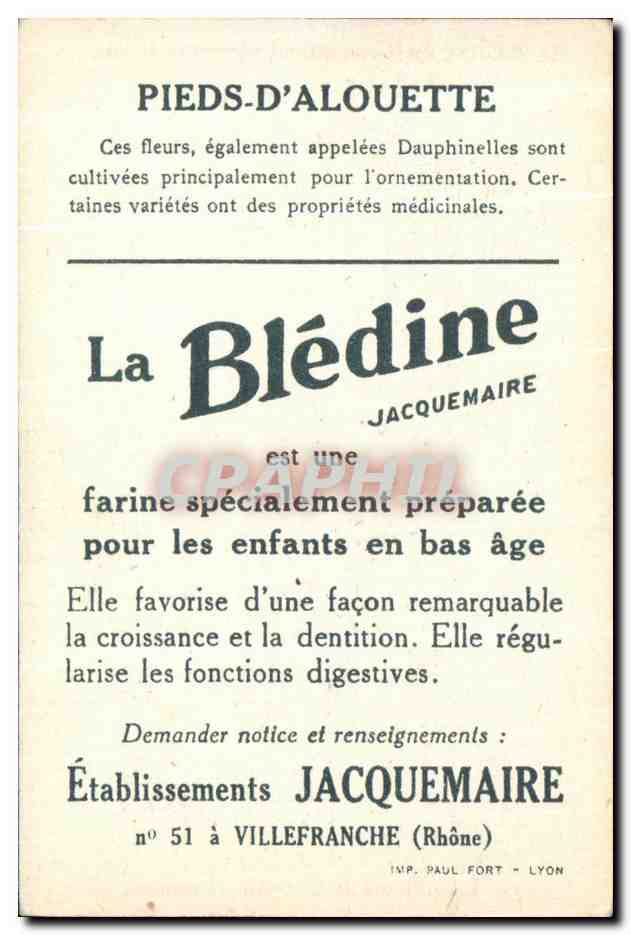 Chromo La bledine Pieds d'alouette — Verso