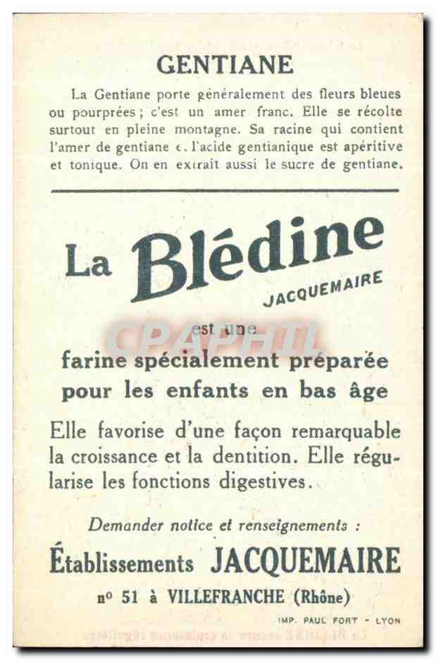 Gentiane — publicité pour la Blédine — Établissements Jacquemaire, Lyon — Back