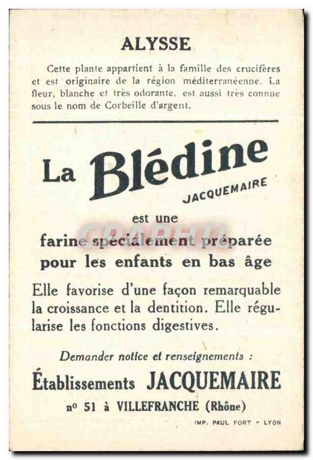 Chromo La bledine Alysse — Verso