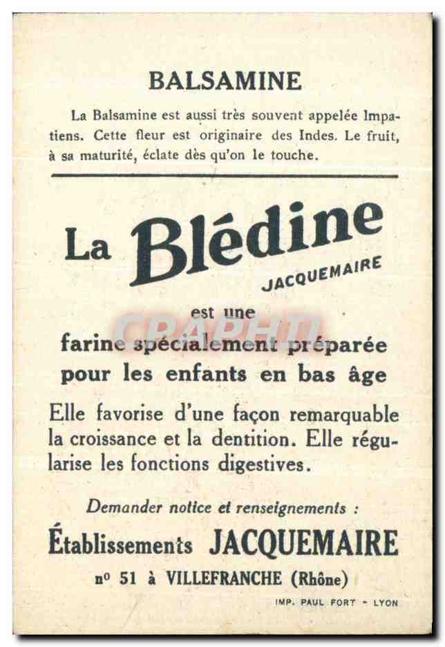 Chromo La bledine Balsamine — Verso