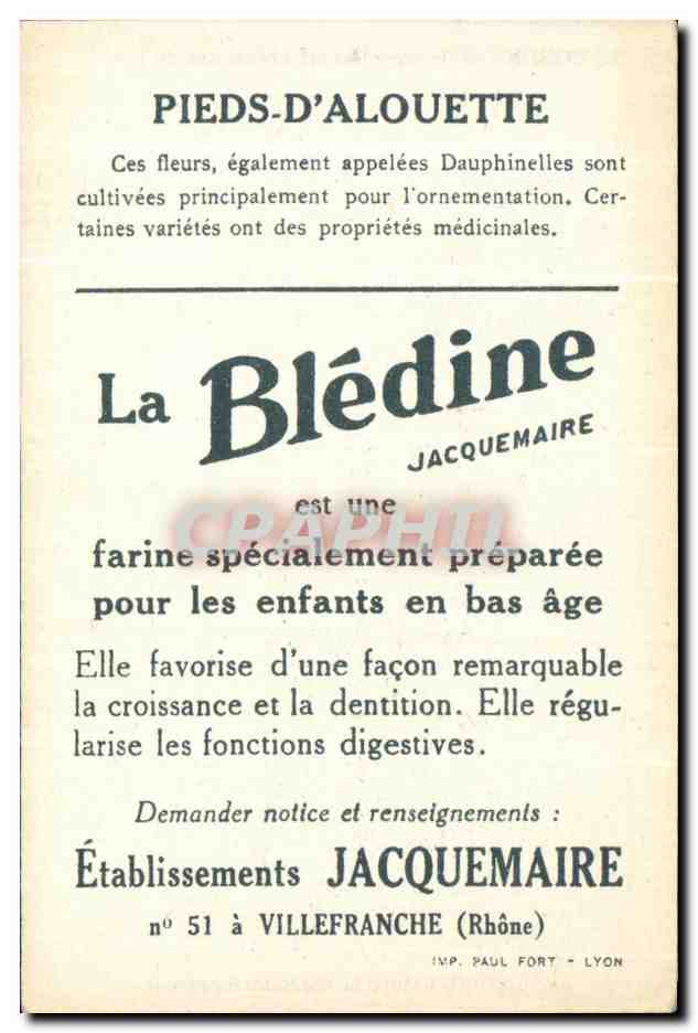 Blédine — Pieds d'Alouette — Établissements Jacquemaire — Rückseite
