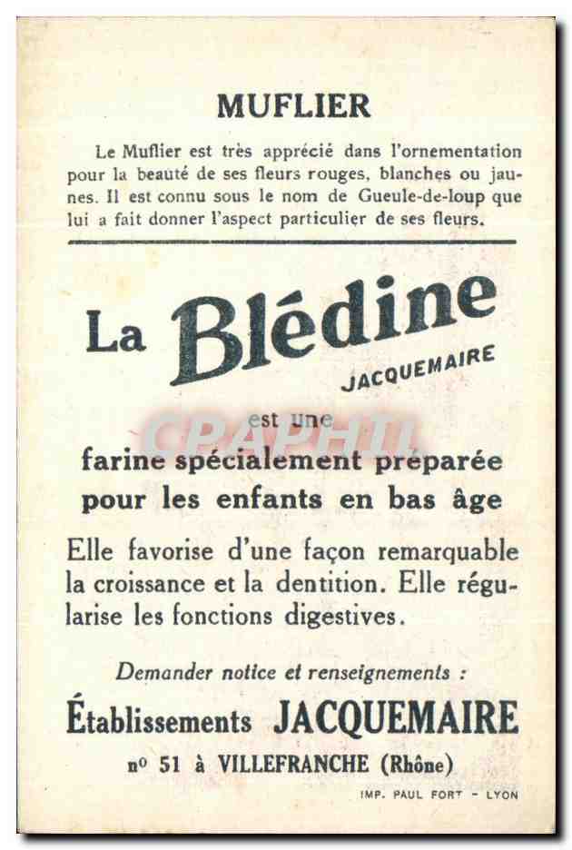 Chromo La bledine Muflier — Verso