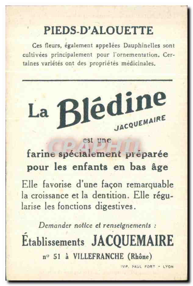 Chromo La bledine pieds d'alouette — Verso