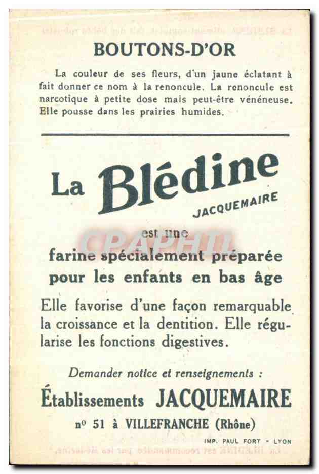 Chromo La bledine Boutons d'or — Verso
