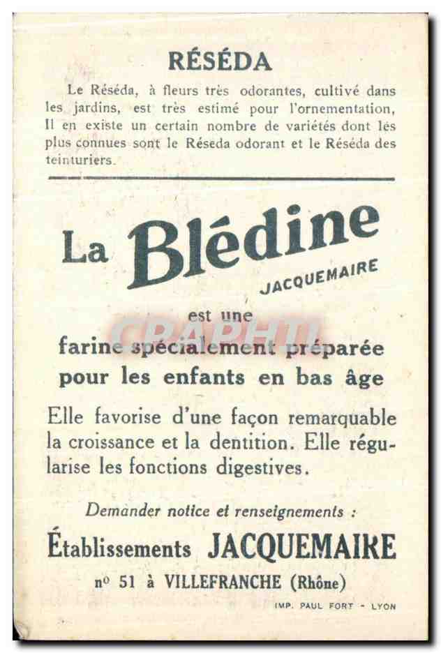 Chromo La bledine Reseda — Verso