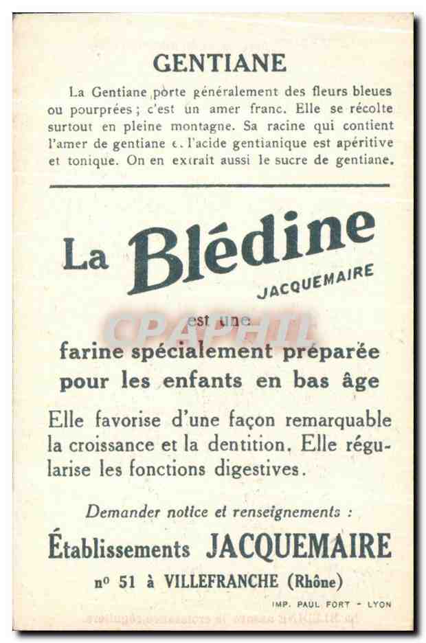 Chromo La bledine Gentiane — Verso