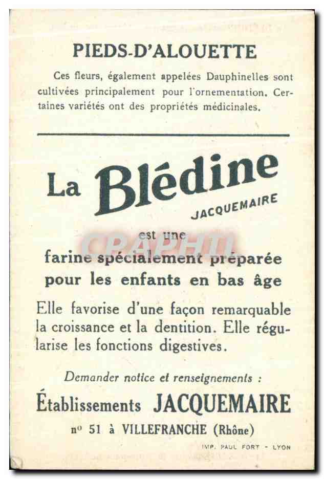 Chromo La bledine Pieds d'alouette — Verso