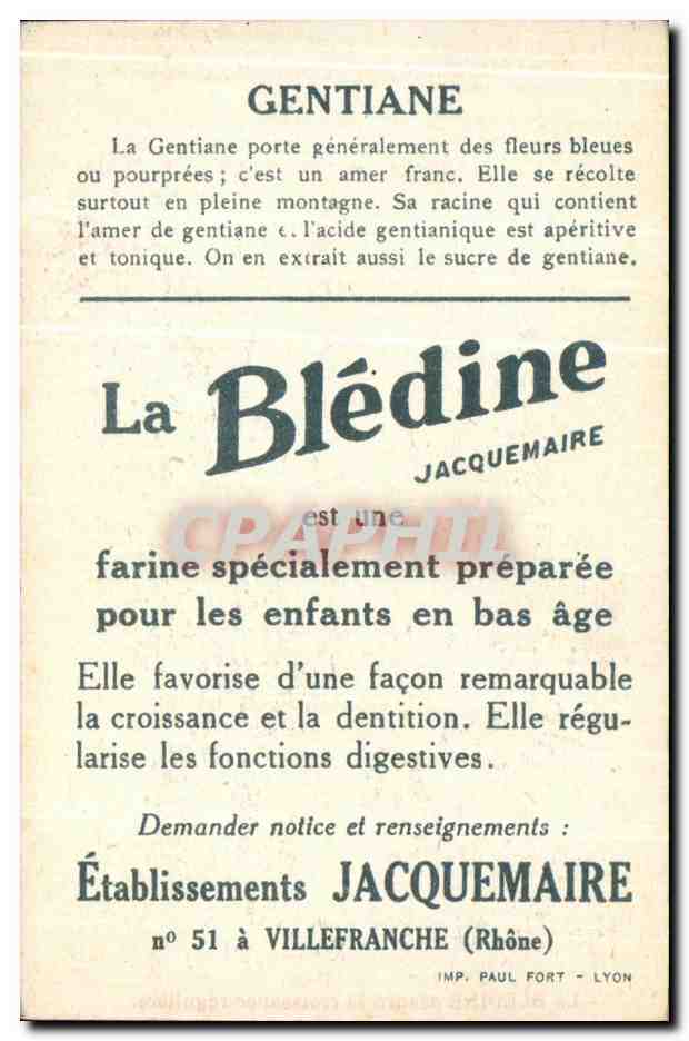 Chromo La bledine Gentiane — Verso