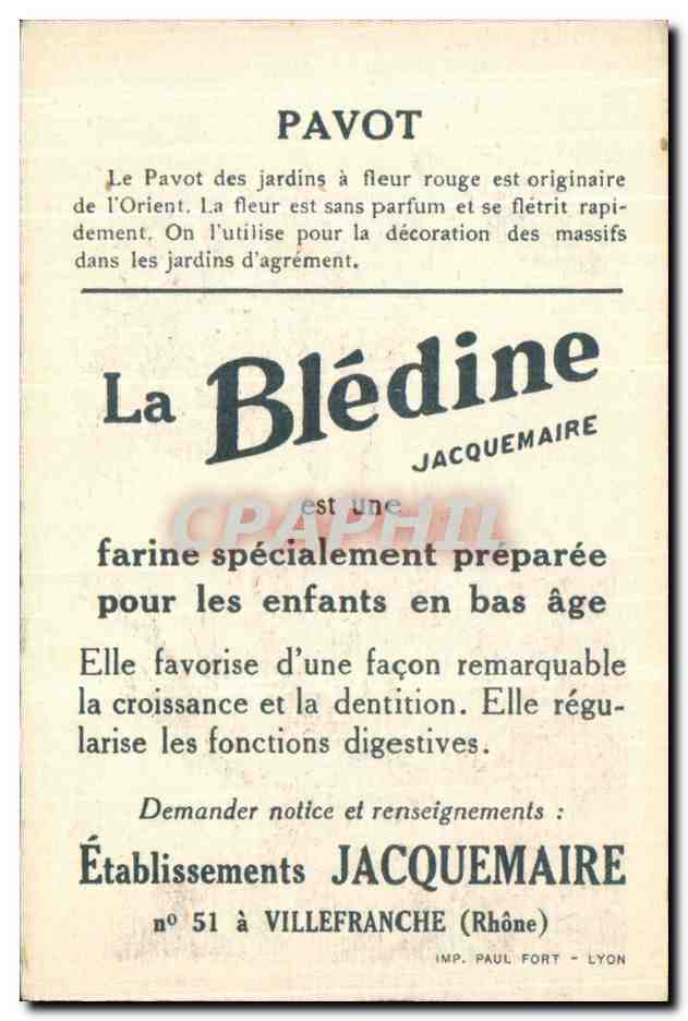 Pavot — publicité pour la Blédine — éditeur Jacquemaire, n° 51 à Villefranche (Rhône) — Rückseite