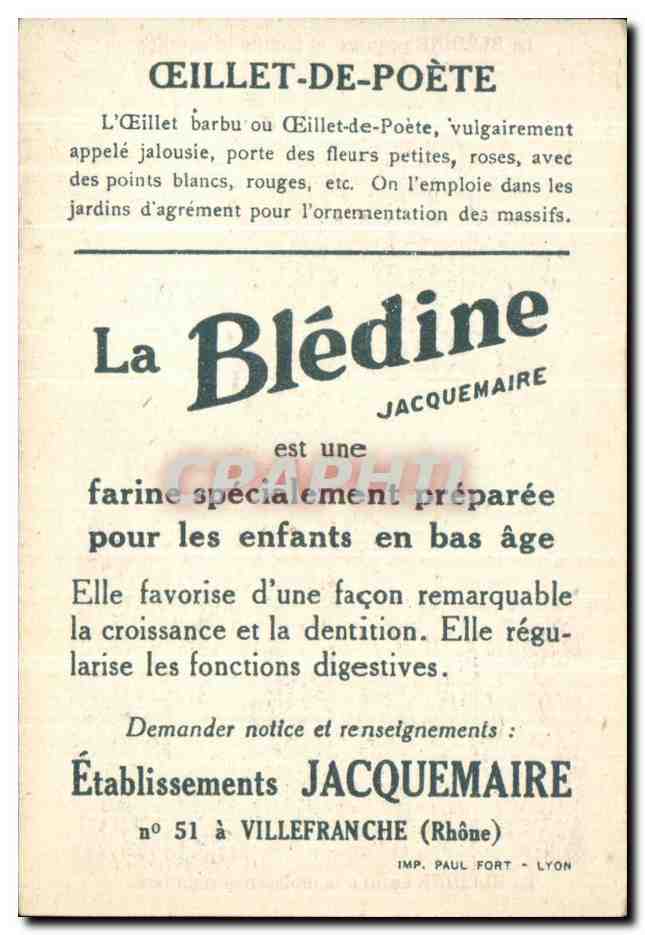 Chromo Bledine Oeillets de poete  — Verso
