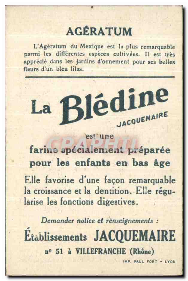Chromo Bledine Ageratum — Verso
