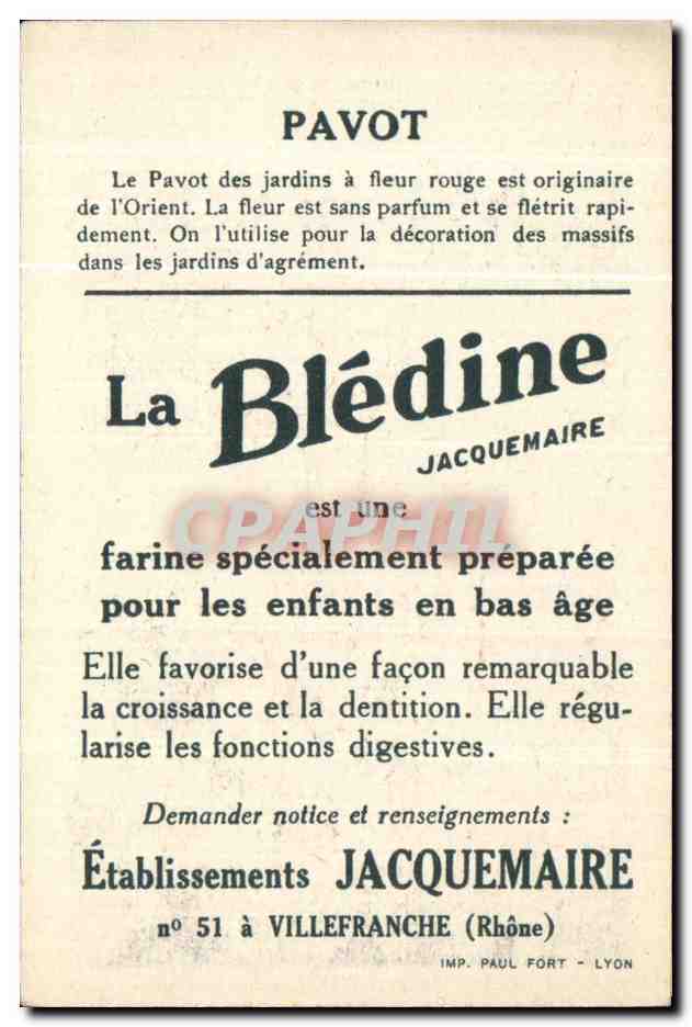 Chromo Bledine Pavot — Verso