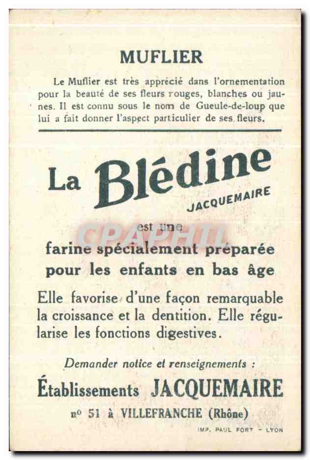 Chromo Bledine Muflier — Verso