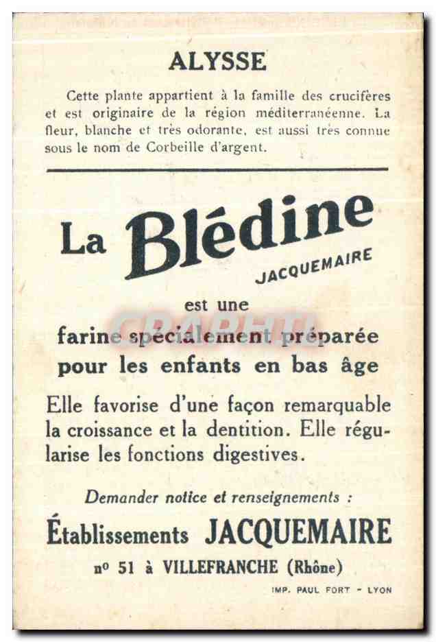 Alyssum — Plante médicinale pour enfants — Éditeur Jacquemaire, n°51 — Rückseite