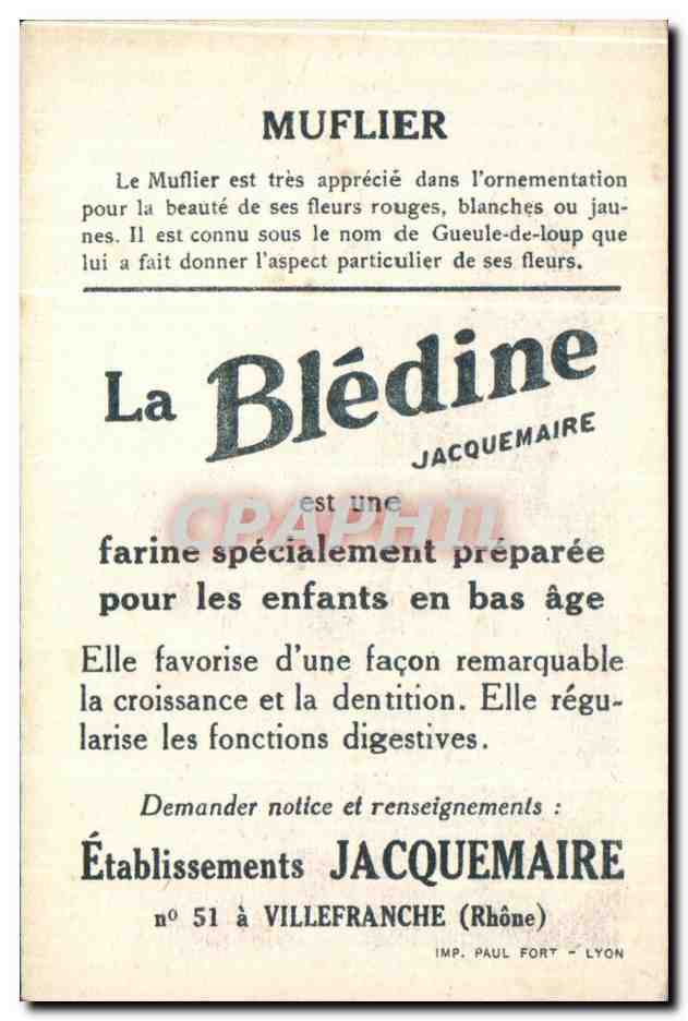 Chromo Bledine Muflier — Verso