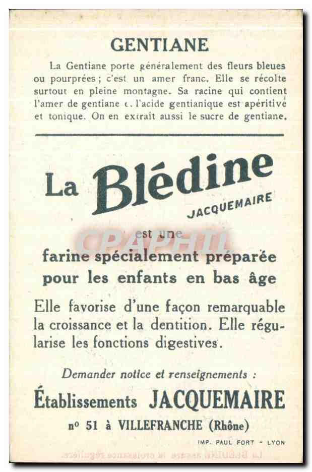 Chromo Bledine Gentiane — Verso