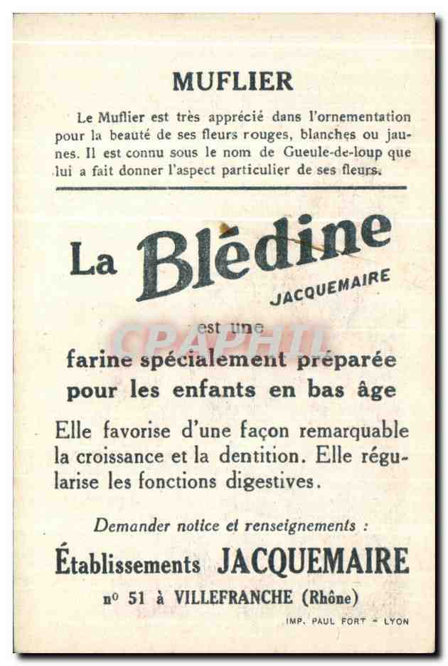 Chromo Bledine Muflier — Verso