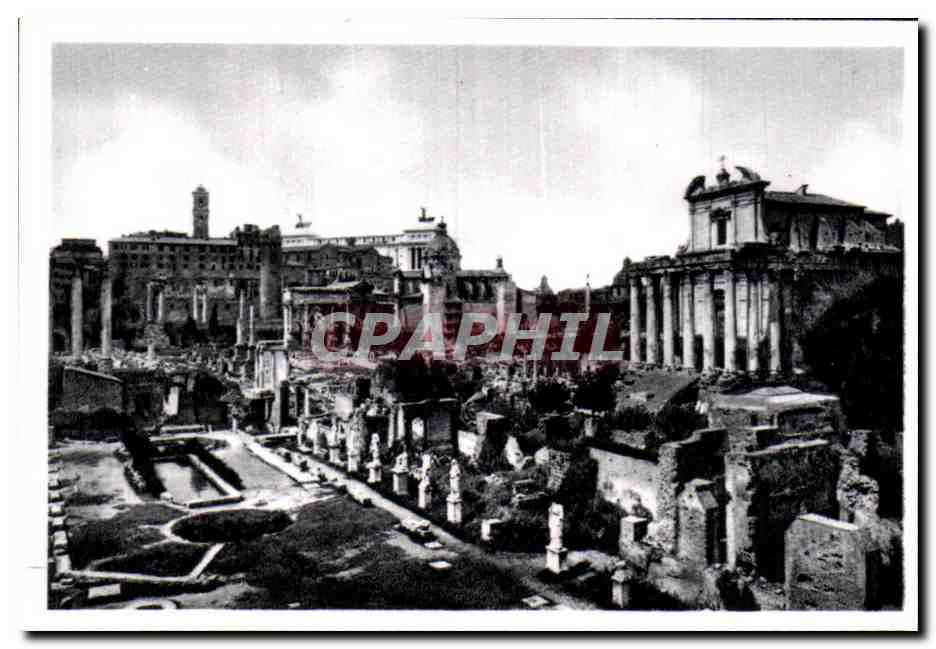 CPSM Roma Foro Romano Casa deile Vestali Tempio Antonino