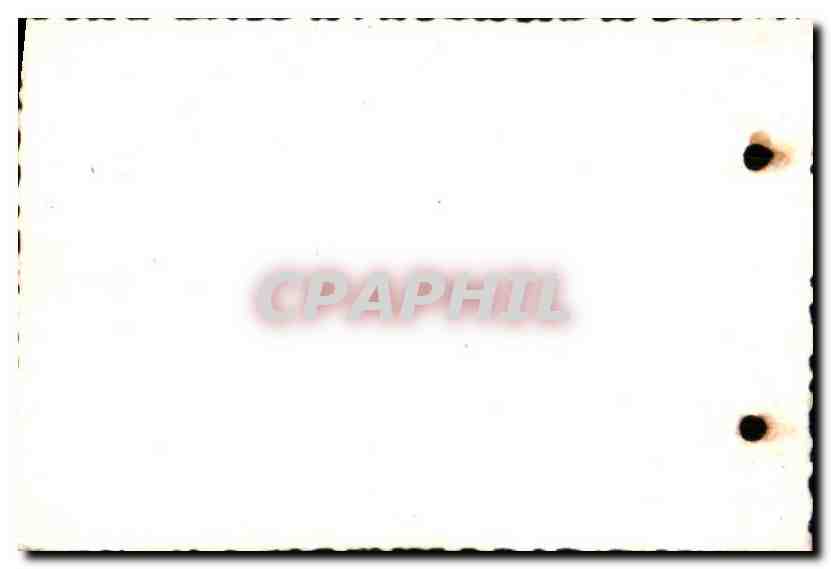 CPSM Maroc Casablanca Parc Lyautey — Verso