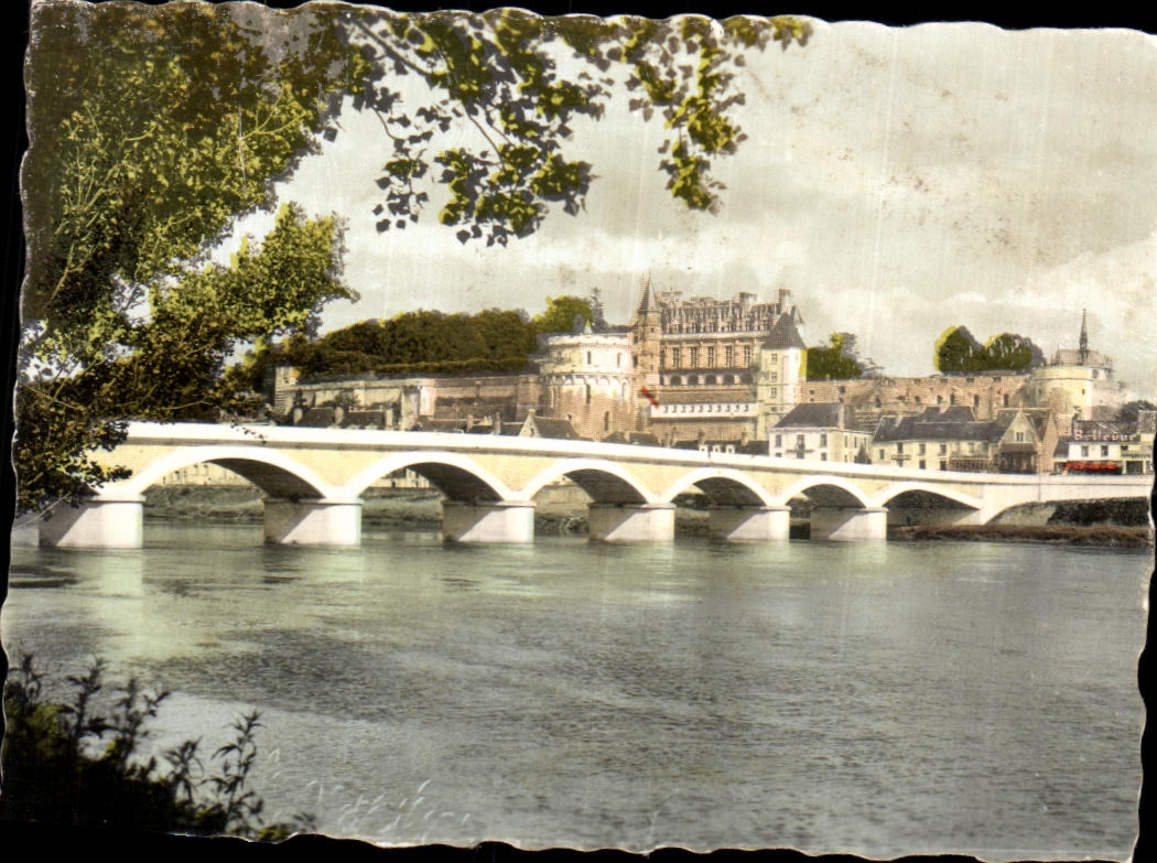 CPSM Amboise le chateau et le pont sur la loire