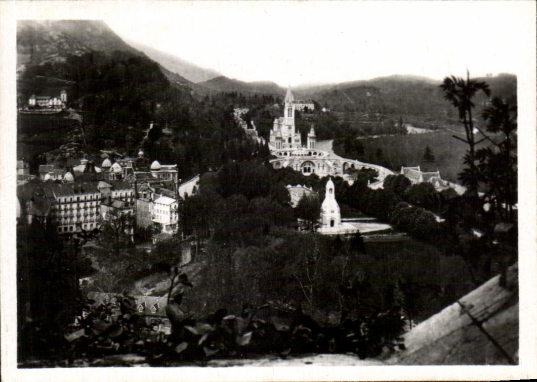 CPSM Lourdes la basilique vue du cbateau fort