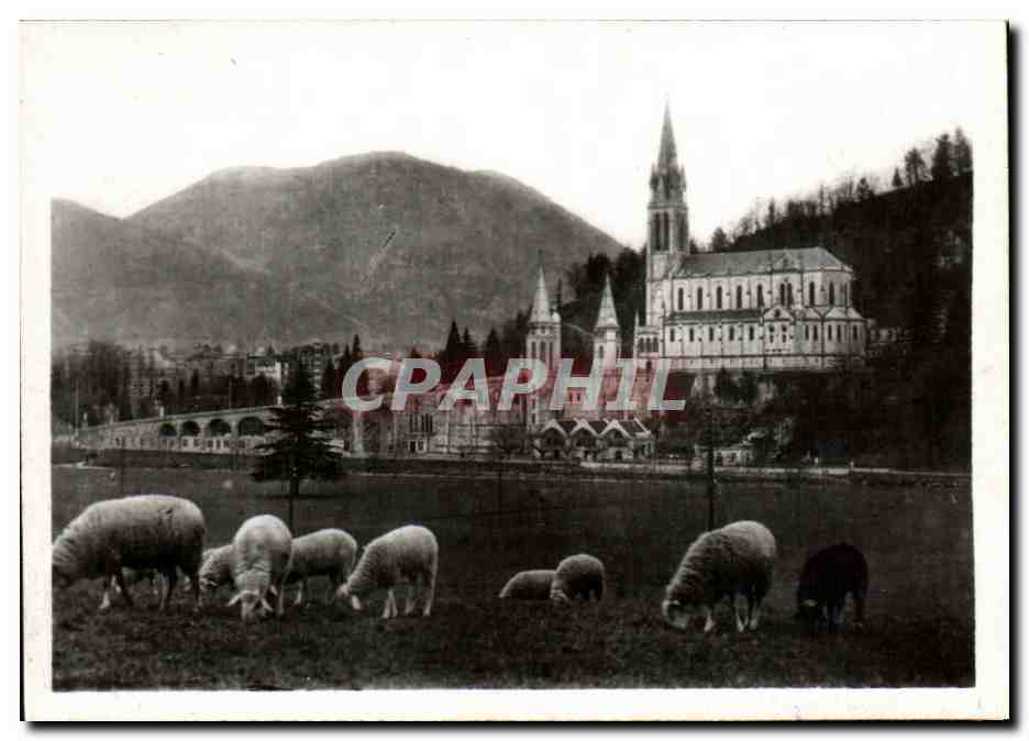 CPSM Lourdes la basilique