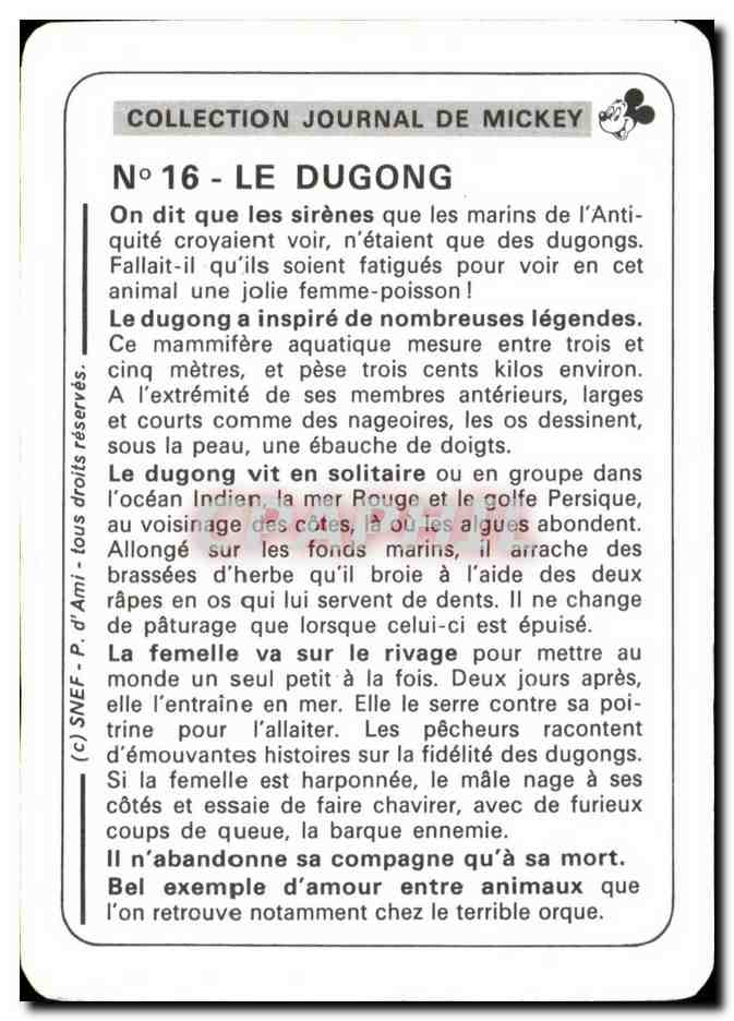 Image Le Dugong Mickey — Verso