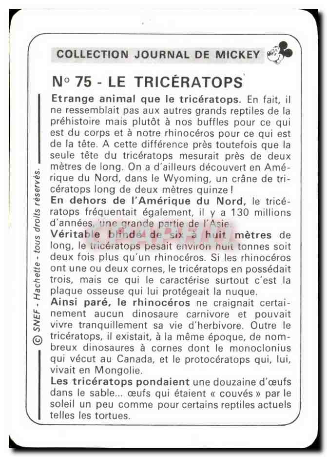 Image Le Triceratops Mickey — Verso
