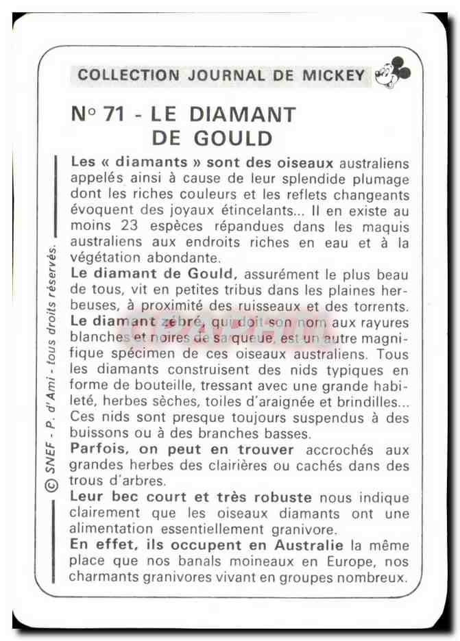 Image Le Diamant De Gould Mickey — Verso