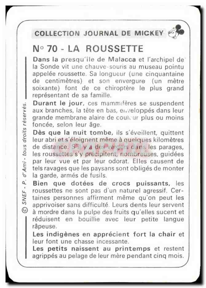 Image La Roussette Dans la presqu ile de Malacca Mickey — Verso